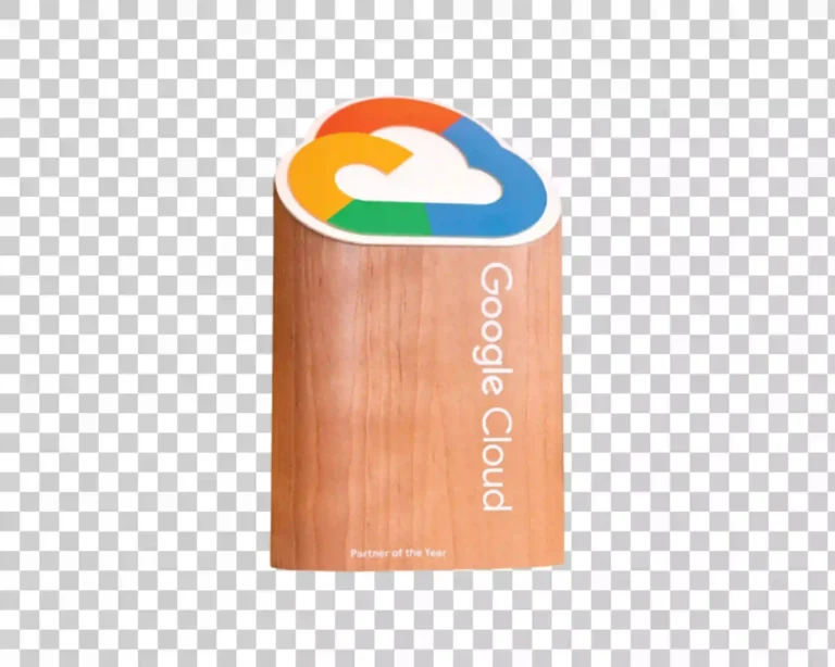 The Google Cloud Partner of the Year Award for 2025, recognizing outstanding achievement in cloud technology partnership.