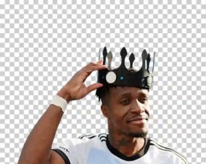 Wilfried Zaha