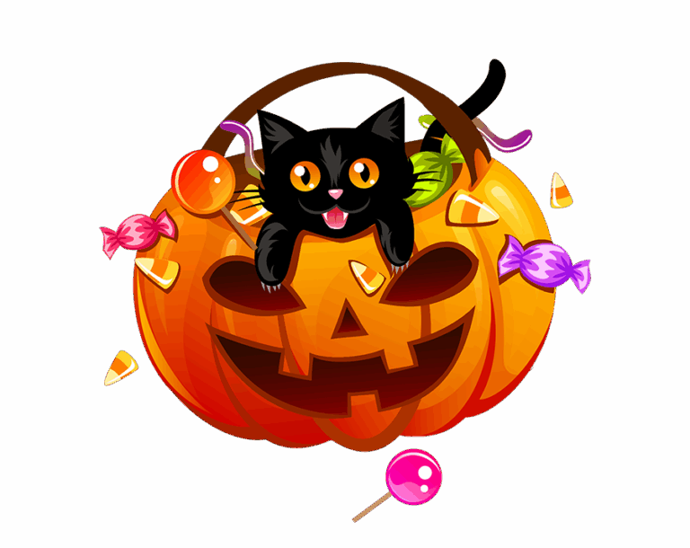 Transparent Halloween PNG image of a smiling jack-o'-lantern decorated with a peeking black cat and surrounding candies