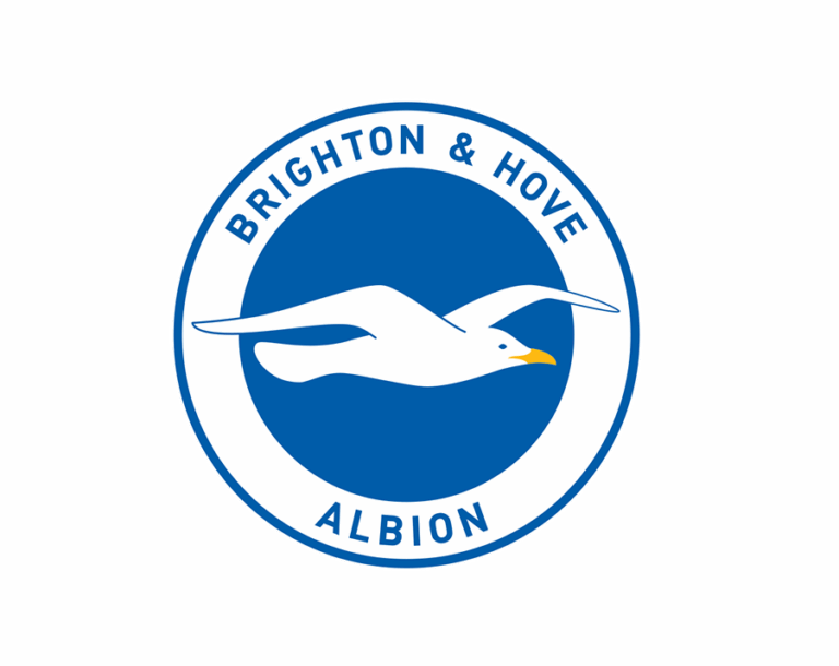 The Brighton & Hove Albion FC logo, featuring a stylized white seagull with wings spread, set within a blue circle, with the words BRIGHTON & HOVE and ALBION forming the border.