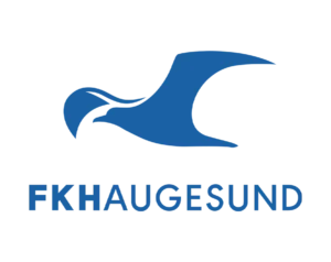 Transparent FK Haugesund logo featuring a large, stylized blue seagull or bird of prey in flight above the club name in blue capital letters.